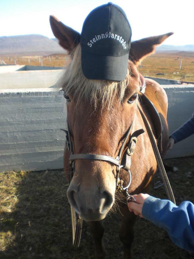 Steinnyjarstathir Skagastrond Zewnętrze zdjęcie